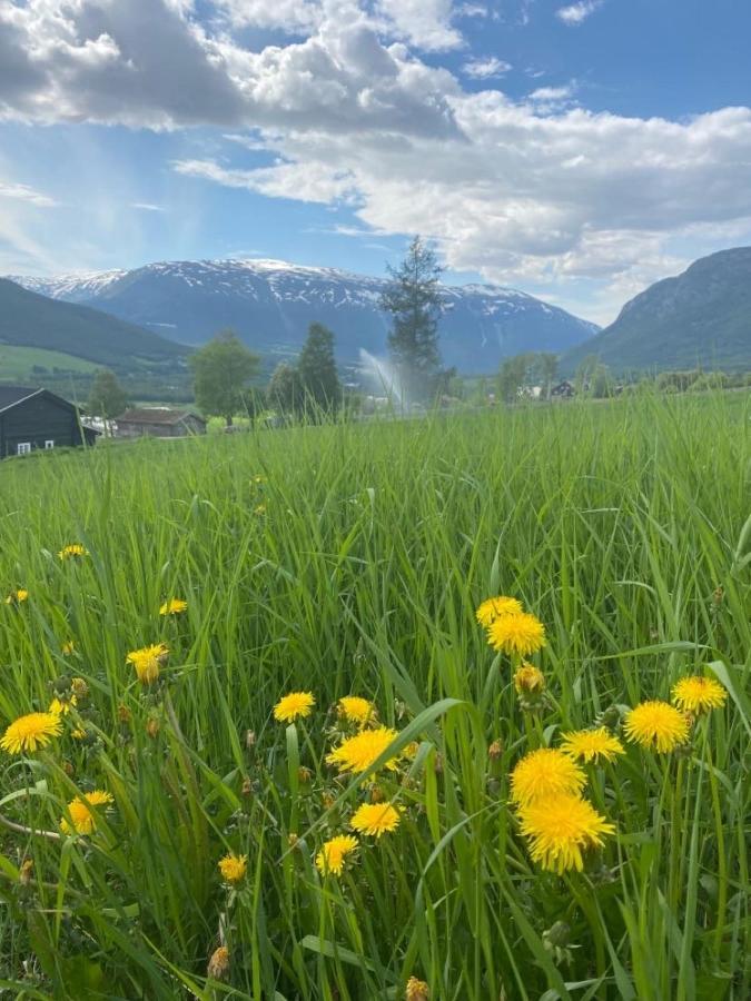 Stort Og Autentisk Hus I Skjak - Kort Vei Til Lom! Luaran gambar